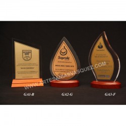 GALVANOS EN ACRILICO Y...