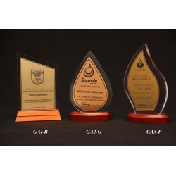 GALVANO EN ACRILICO BASE DE...